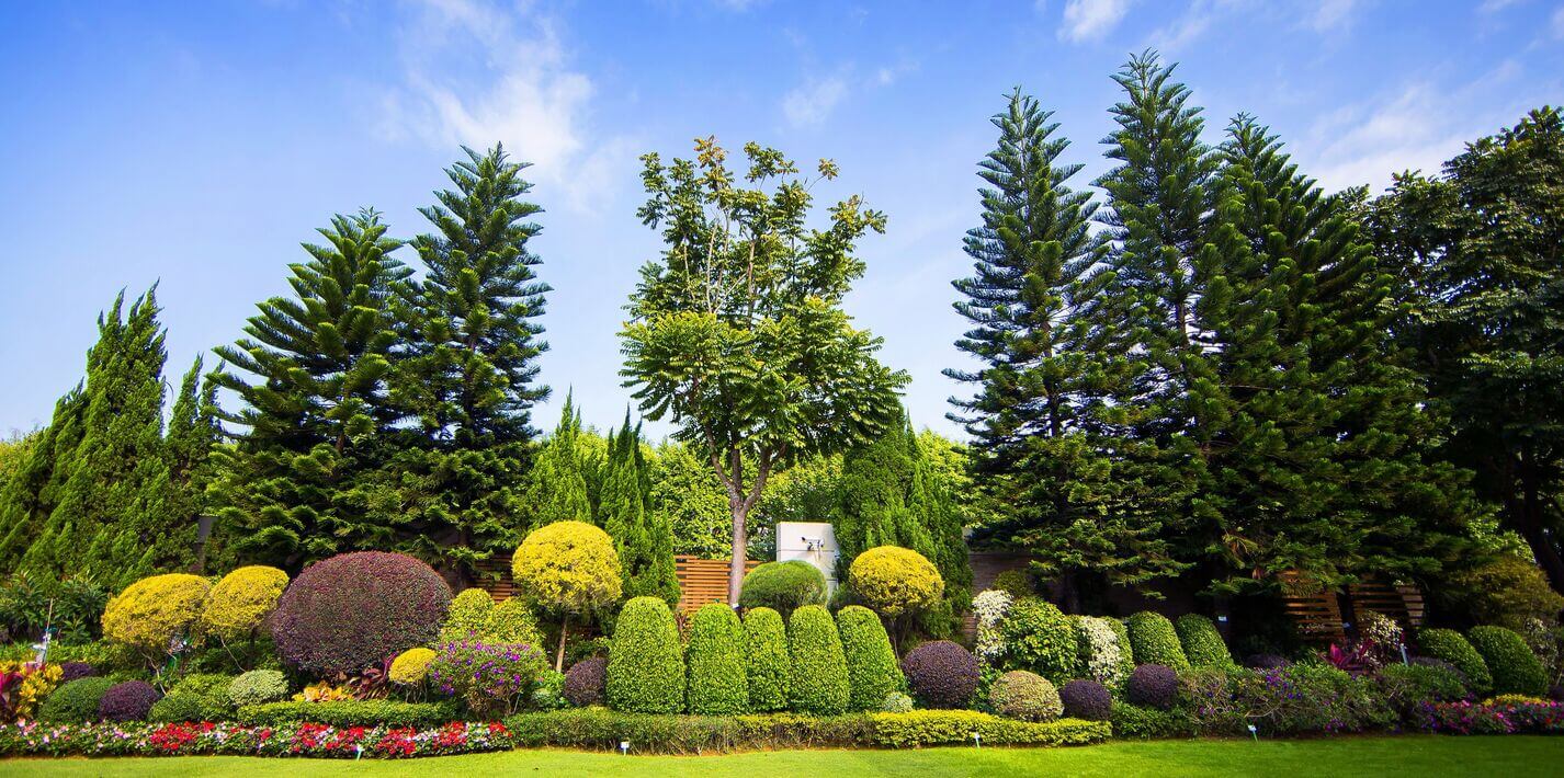 Sustainable Environment